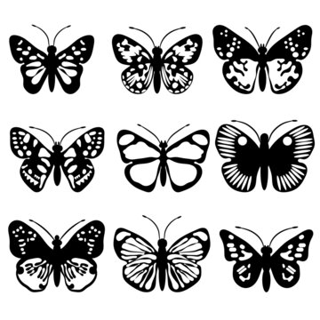 collection of butterflies svg vector illustration