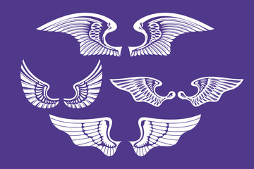 Set of Angel Wings Collection