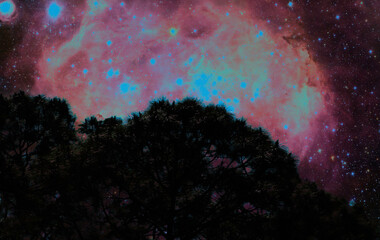 starry night sky