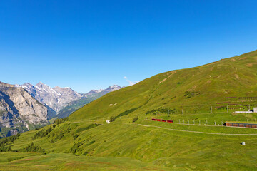 Fototapeta na wymiar スイス山頂
