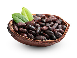 Cocoa fruit open pod with cocoa seeds isolated on white background.