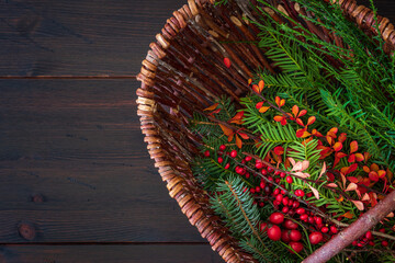 Selection of winter branches in a wicker basket on dark brown rustic wooden background. Evergreen...