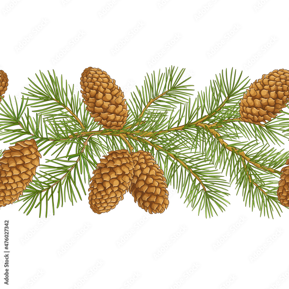 Canvas Prints fir tree vector pattern isolated