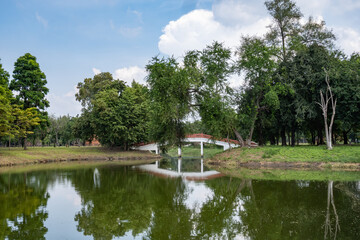 The bridge over the river, surrounded by trees