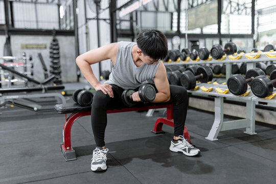 Exercise Concept The Sport Man Picking Up The Dumbbell With His Left Hand While Another Dumbbell On The Bench Next To His Right