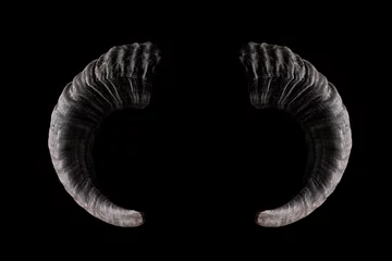 Foto op Plexiglas Ram horns isolated on black. Satanic, occult symbol. © raland