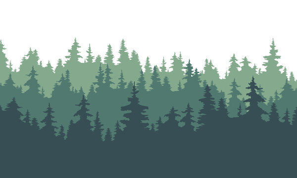 Panoramic forest background landscape. Evergreen coniferous trees. Pine, spruce green tree. Silhouette vector illustration.