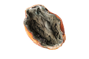 Half of a rotting fruit on a light background. A minimalistic concept of spoilage, decay and mold.