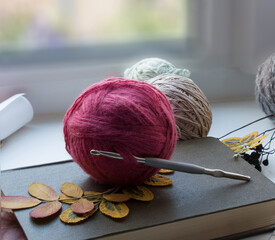 Balls of wool and cotton threads, dried rosehip leaves, a book lie on a white windowsill against...
