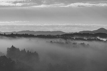 Fototapeta premium 奈良 - 【月ヶ瀬梅渓の雲海】