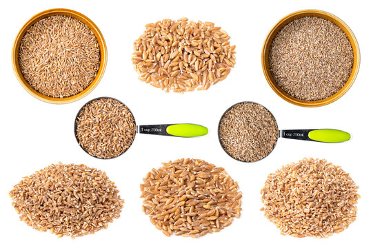 set of Emmer farro wheat grains cutout