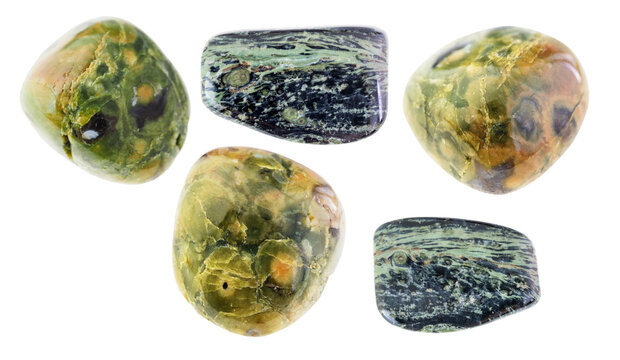set of various rainforest jasper stones on white