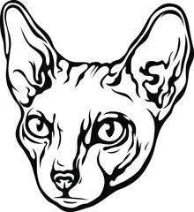 Vector cat isolated illustration. Black color on white background image.