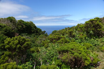 Fototapeta na wymiar Breathtaking scenic view on lush vegetation and the endless Atlantic Ocean between Ponta Delgada and Faja Grande, Flores, Azores, Portugal (horizontal image)
