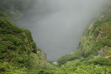 Lagoa Comprida in Caldeira Comprida with lush vegetation a misty day, Flores, Azores, Portugal