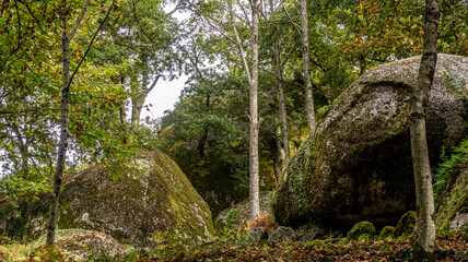 Parc de Guimaraes
