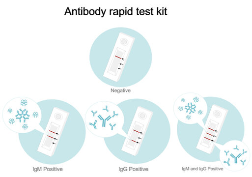 The result of antibody rapid test kit or lateral flow test (immunochromatography technique) that separated interpretation of negative or positive : IgM, IgG, the both of IgM and IgG.