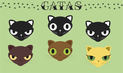 Obraz premium Cabezas de gato (femenino)