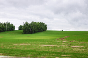 Forest plantations on the slope to protect soil damage from field erosion
