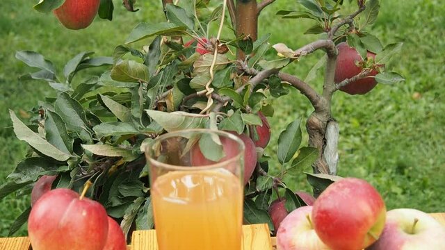 A slow shot of fresh squizzed apple juice from an apple tree.