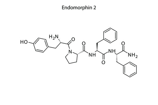 Endomorphin 2 biomolecule molecular formula. Skeletal molecule structure vector eps10.