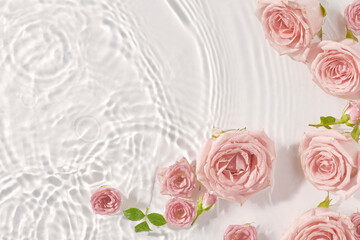 Pink roses in water, top view, copy space. Minimal nature background. Mother's day Or Valentines...