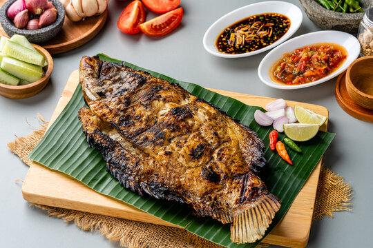 Gurame Bakar or Grilled Gourami with indonesian spices served on tray and banana leaf and isolated gray background.