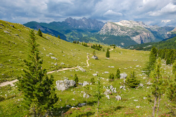 Fototapeta na wymiar View of alp landscape with meadows and mountains in the Alps