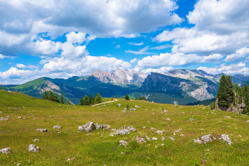 Fototapeta na wymiar Alp meadow with mountain peaks