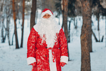 Ded Moroz with long white beard in winter forest.