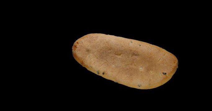 Freshly baked wheat bread, rotation around, alpha channel