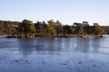 Beautiful natural Scandinavian landscape. Frozen lake with forest and stones at the shore line. Sunny late autumn or winter day in the nature in Sweden. Real is beautiful