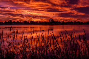 Beautiful shotnof a lake at sunset