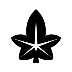 Leaf icon isolated on white background