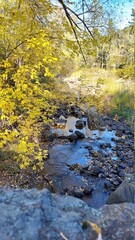 river in autumn