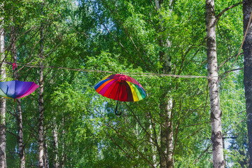 Rainbow-colored umbrellas hang on trees along the pedestrian path in the park in summer