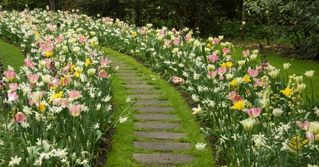 Foto auf Acrylglas Antireflex Narrow paved grassy path amid fresh colorful flowers in the park © Evgeny K/Wirestock