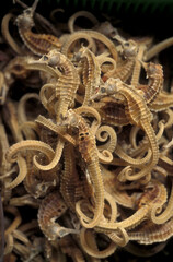 CHINA XIAN CHINESE MEDICINE MARKET