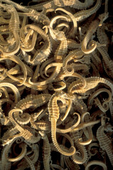 CHINA XIAN CHINESE MEDICINE MARKET