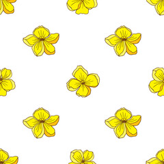 vector graphic seamless pattern with kasia flowers