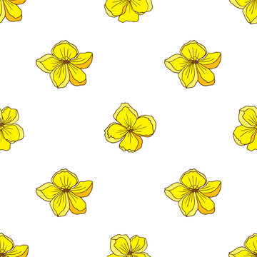 vector graphic seamless pattern with kasia flowers