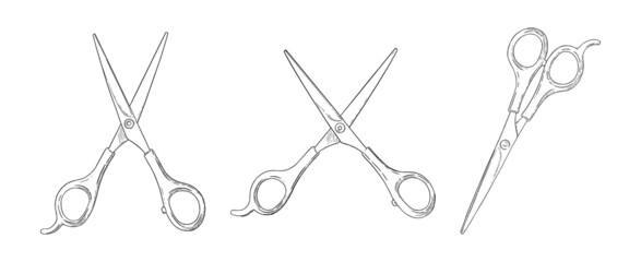 Scissors set. Hairdresser shears tool. Vector illustration isolated in white background