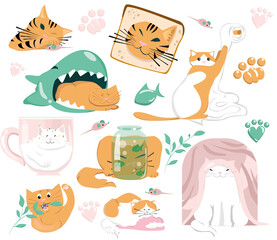 Collection of vector elements with pets cats and animal toys. The tiger plays with cat toys. Ideas for decoration with cute animals, dusty rose, emerald