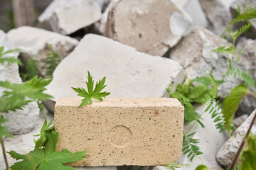 Beige stone platform on a stone background with a leaf of meadow geranium. A podium for your product. Copy space. High quality photo