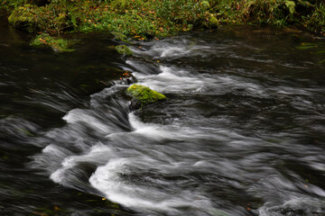 Fototapeta premium Reißender Bach mit einer Insel aus Moos.