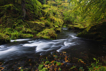 Reißender Fluss im herbstlichen Wald.