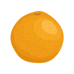Grapefruit icon vector illustration in flat design. Whole fruit