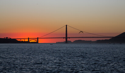 The Golden Gate Bridge in California at sunset and seagull