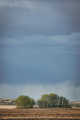 Spring in Saskatchwan