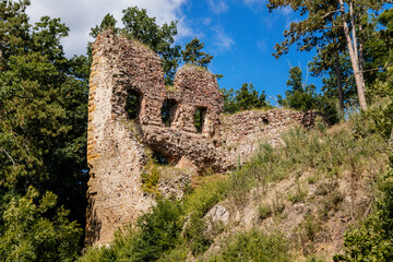 Tocnik, Central Bohemia, Czech Republic, 31 July 2021: Ruins of medieval castle Zebrak on hill, old stronghold with stone tower, ancient gothic fortress at summer sunny day, landmark in countryside